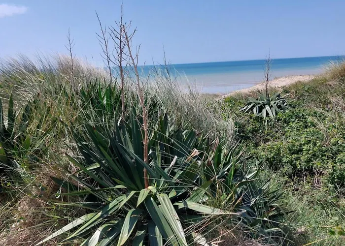 Bourg Hyenville 2 Etoiles * Quettreville-sur-Sienne